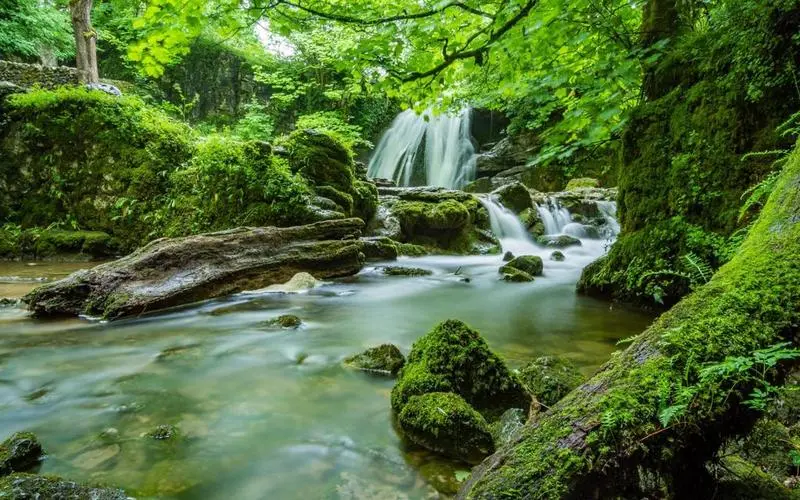 高质量高标准高质量